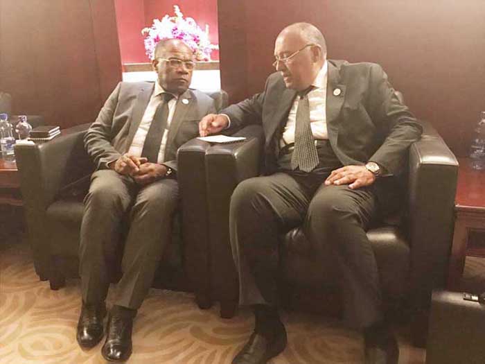   وزير الخارجية يبحث العلاقات الثنائية مع وزير خارجية الكونغو الديمقراطية