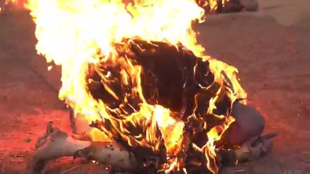   داعش يحرق أحد دعاته لتلميحه بمقتل البغدادى