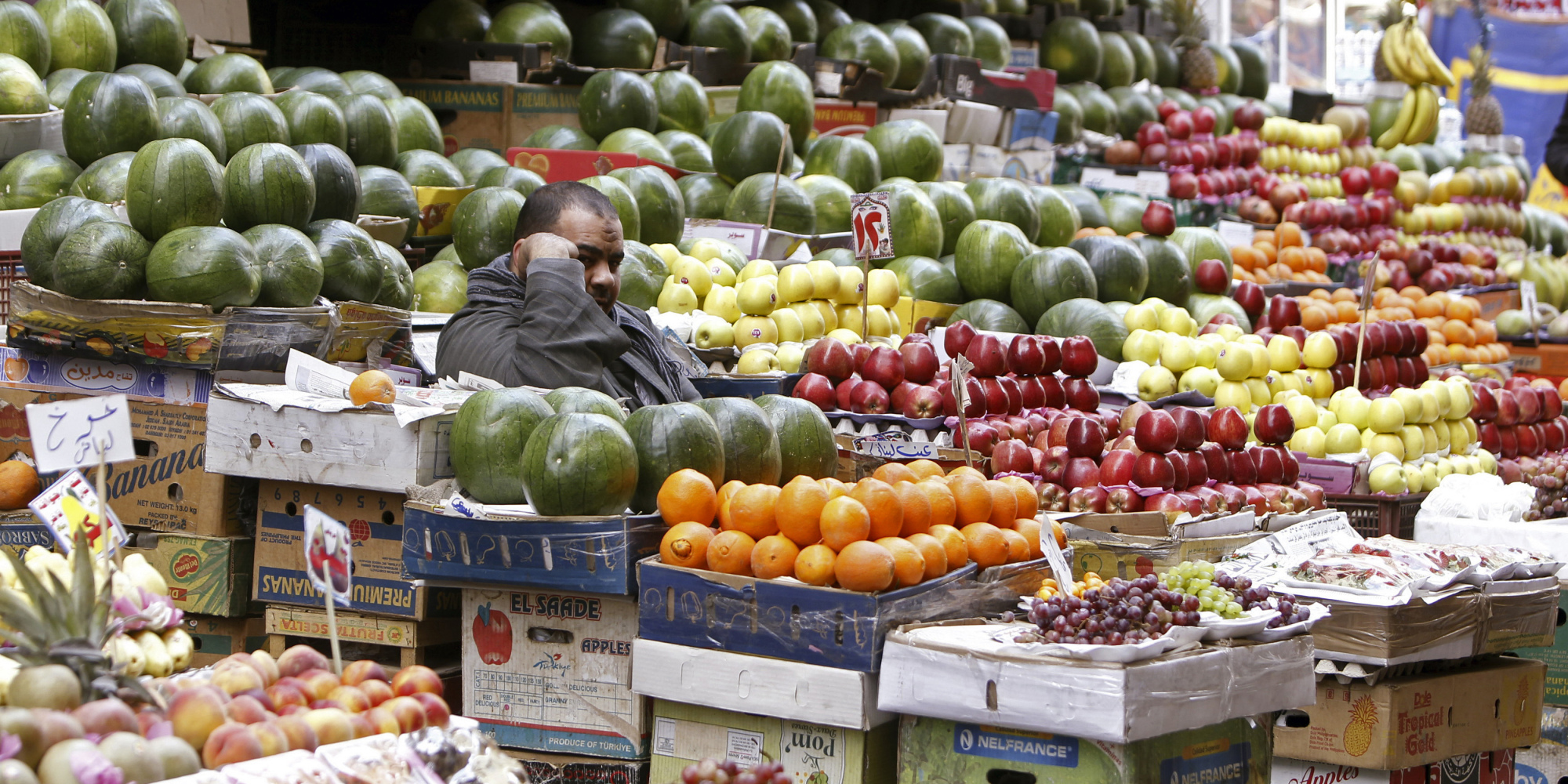   خطة الحكومة لخفض أسعار الخضروات والفاكهة بنسبة 30%