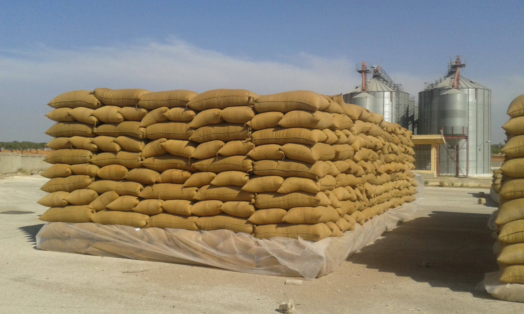   احتياطي مصر من القمح يكفي 6 أشهر