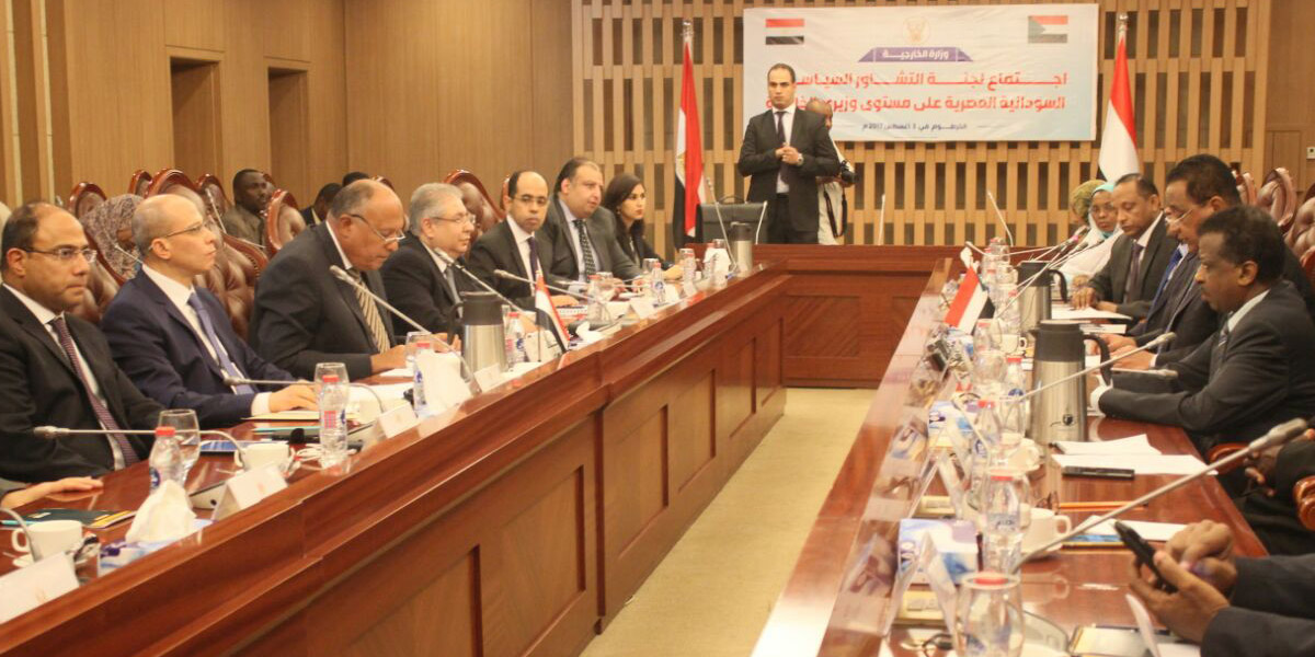   المتحدث باسم الخارجية:  وزير الخارجية أكد على عمق العلاقات الثنائية بين البلدين وتطلع مصر لتطويرها في كافة المجالات