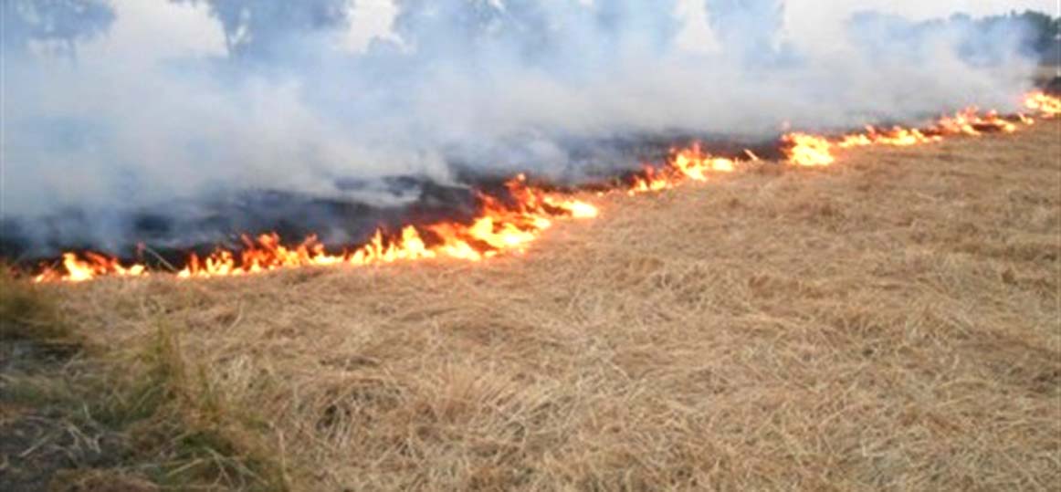   السيطرة على حريق هائل بـ 4 أفدنة من أكوام قش الأرز