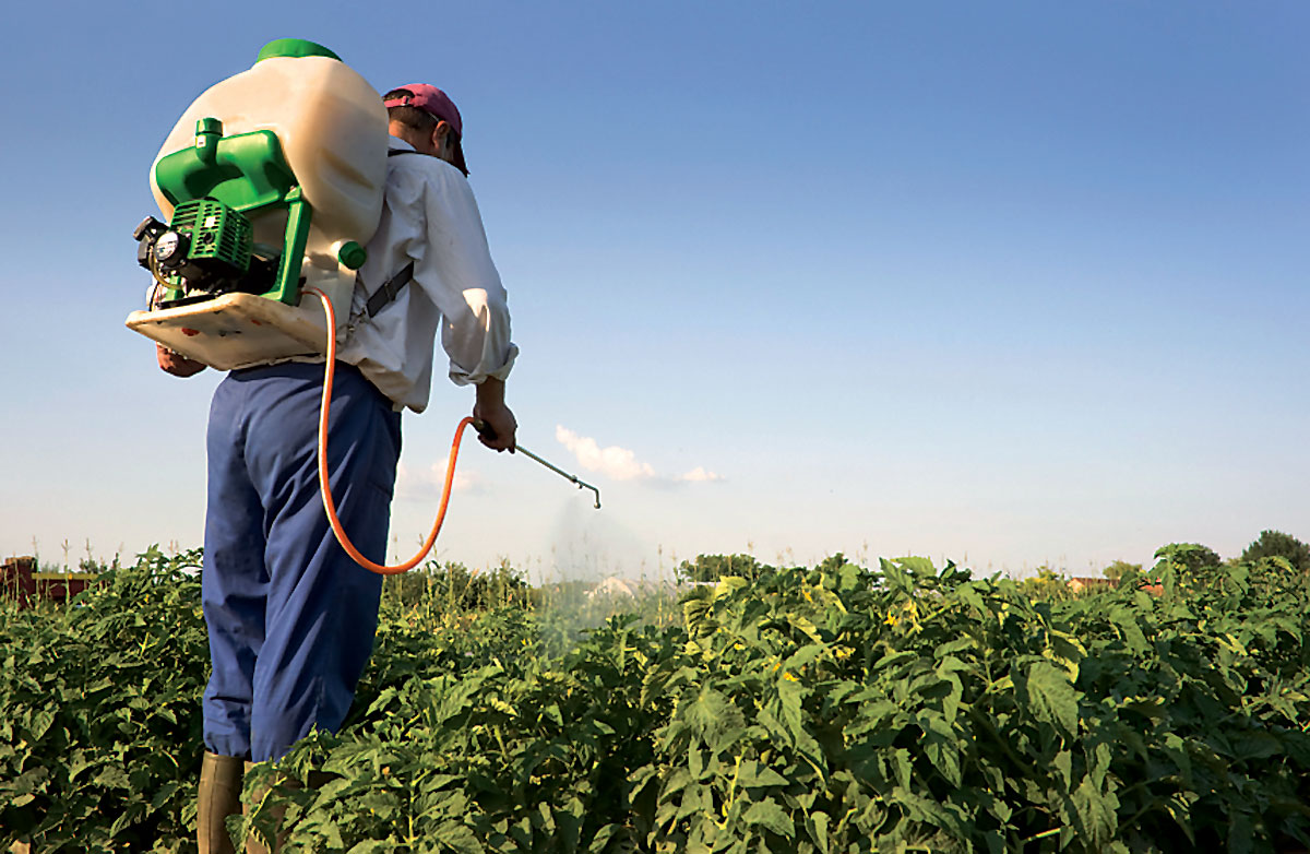   "الزراعة" تنجح في خفض عمليات الغش في سوق المبيدات 