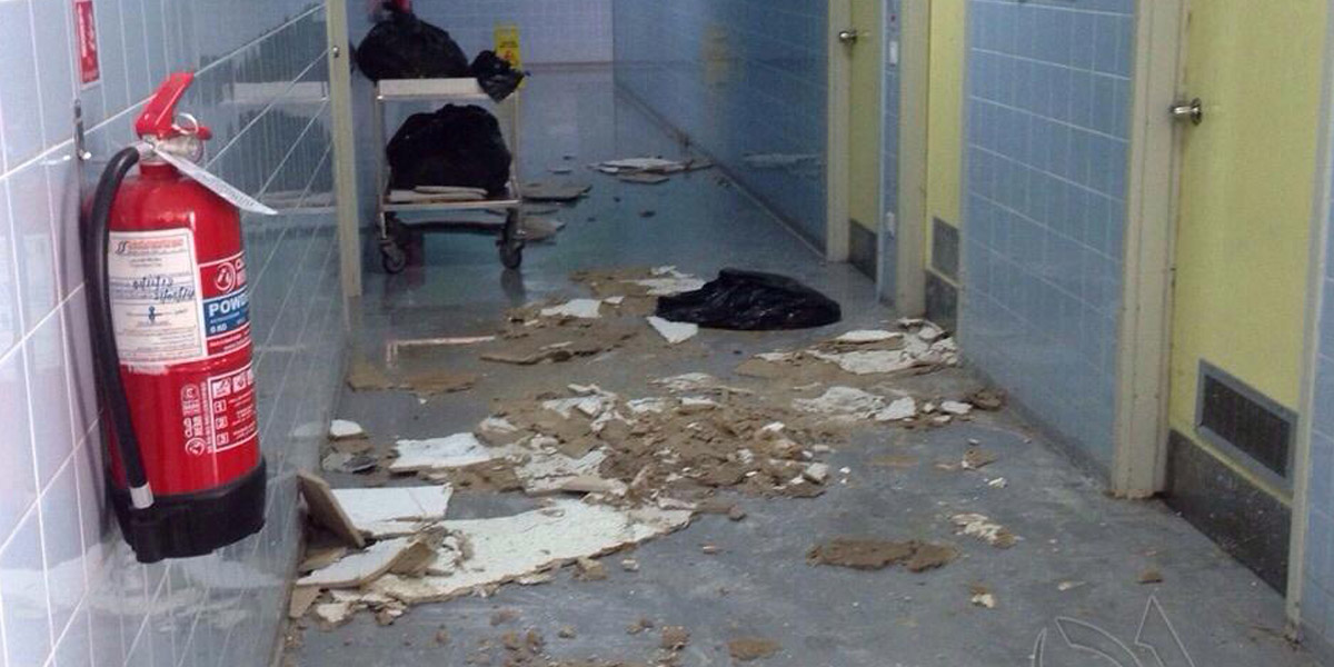   صحة القليوبية: سقوط سقف الإستقبال بمستشفى طوخ.. ولم يصب أحد