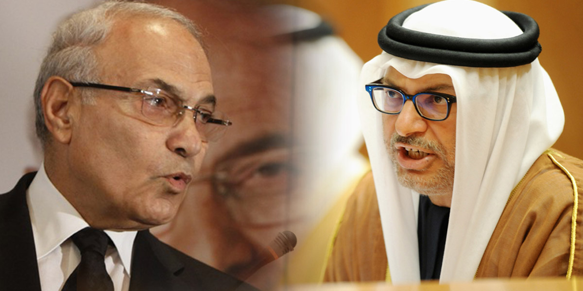   صور| وزير الخارجية الإماراتى لشفيق: «إن أنت أكرمت اللئيم تمردا»