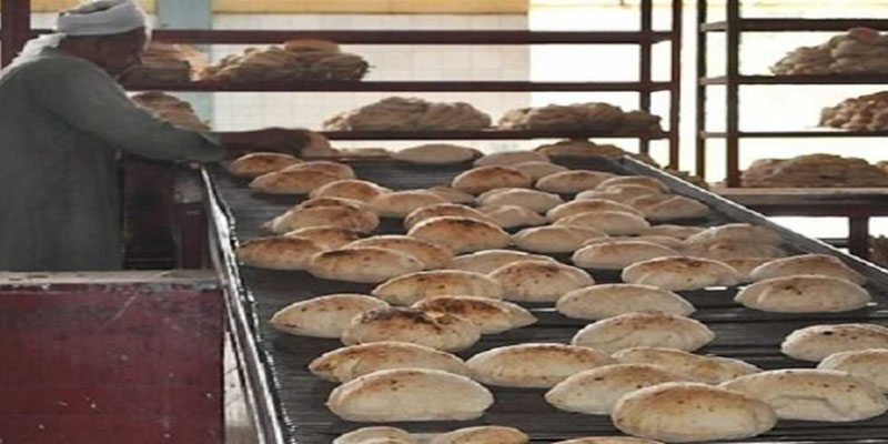   تموين كفر الشيخ تحرر محاضر ضد أصحاب المخابز لإنتاجهم خبز غير مطابق