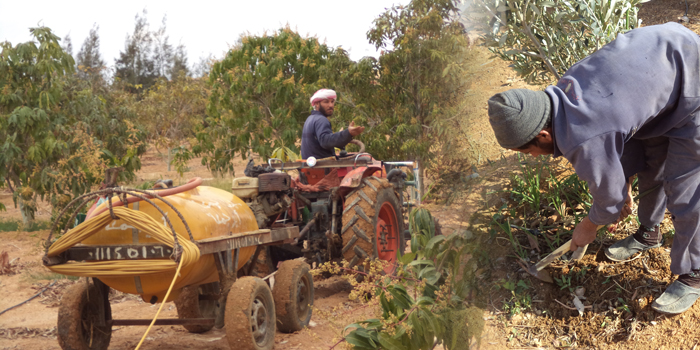   بالصور.. مزارعو السويس يواجهون جفاف محاصيلهم بالمبيدات لقلة مياه الرى 