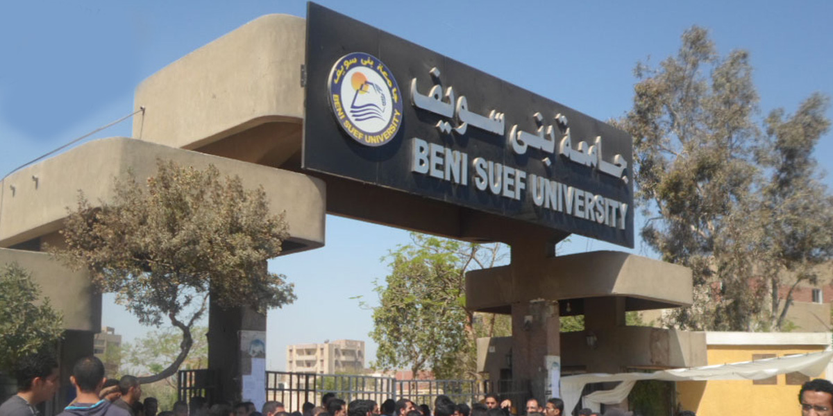   جامعة بني سويف تنظم ورشة عمل لتطوير التعليم العالي في مصر