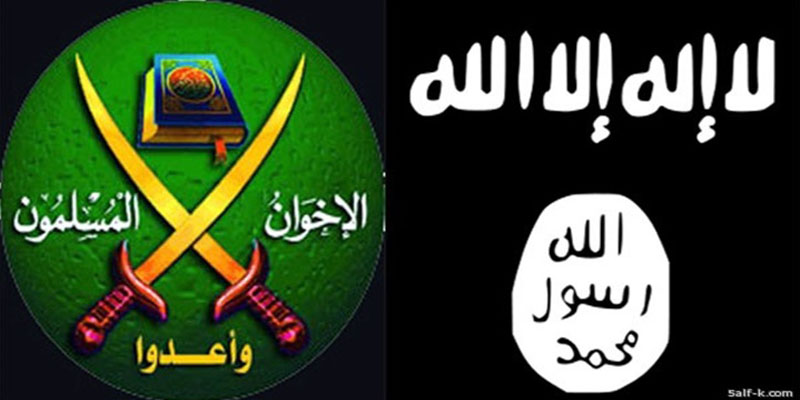   الافتاء: داعش والإخوان وجهان لعملة واحدة