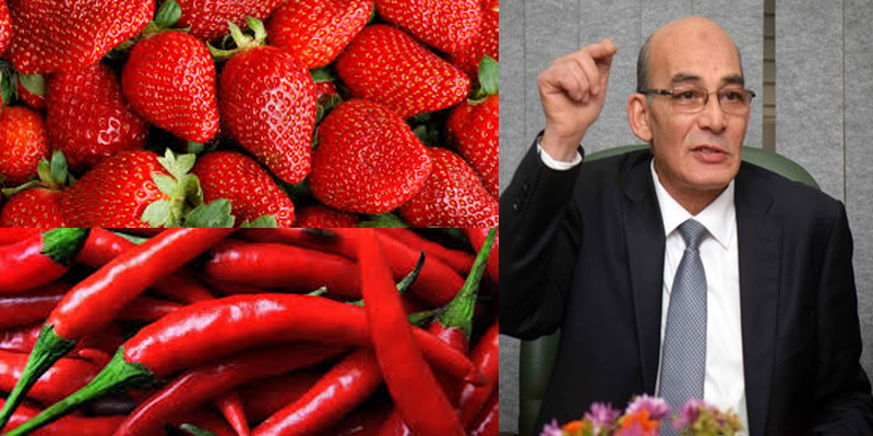  خطاب رسمي لوزير الزراعة من الاتحاد الأوروبي يشيد بـ الفراولة والفلفل