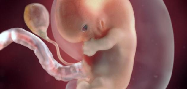    10 أسئلة عن الغدة الدرقية وتأثيرها على المرأة الحامل والجنين.. اعرف إجاباتها