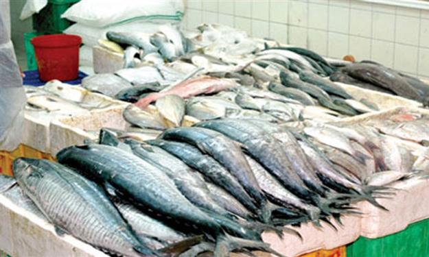   وزارة التموين تطرح 23 طن أسماك بأسعار مخفضة