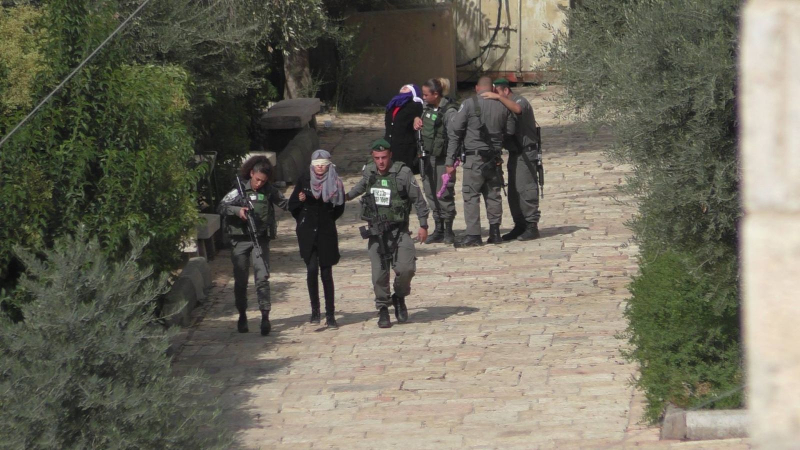   الاحتلال الإسرائيلي يعتقل فتاة فلسطينية جديدة