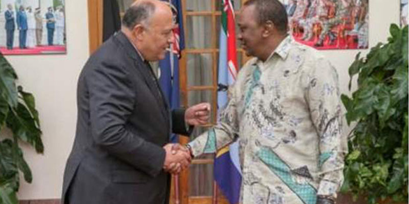   وزير الخارجية يلتقي الرئيس الكيني حاملًا رسالة من الرئيس السيسي