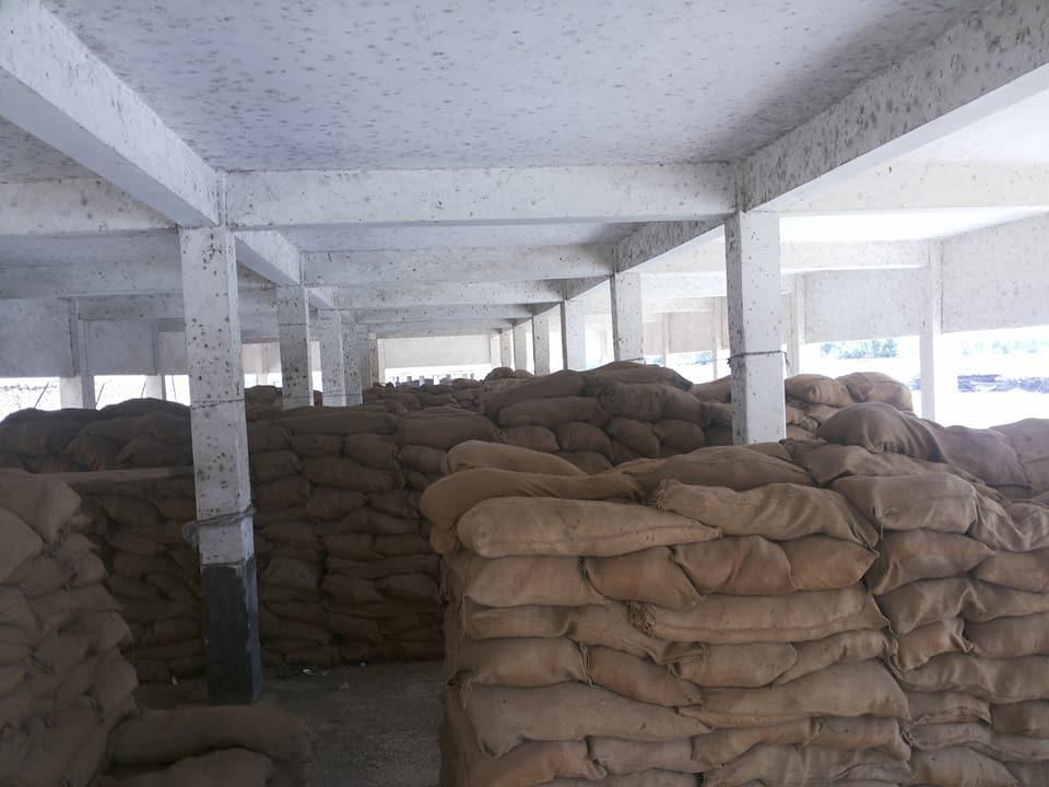   بالصور| رئيس مدينة بيلا يتابع استلام محصول القمح بـ «شونتين» 