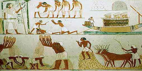   ماذا كان يأكل المصريون القدماء ؟