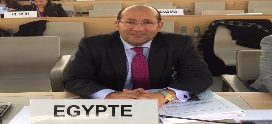   السفير هشام بدر: ألف فاترينة في إيطاليا تروج للسياحة في مصر