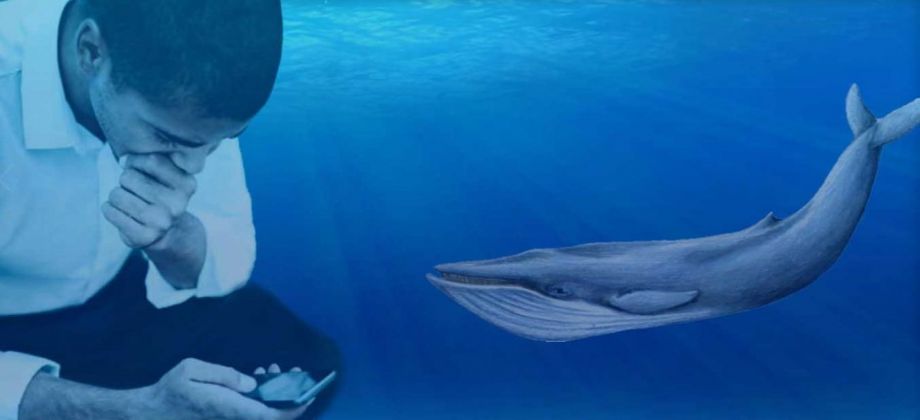   تنفيذاً لأوامر «الحوت الازرق» طالبة تقتل والدتها وشقيقها بسوهاج