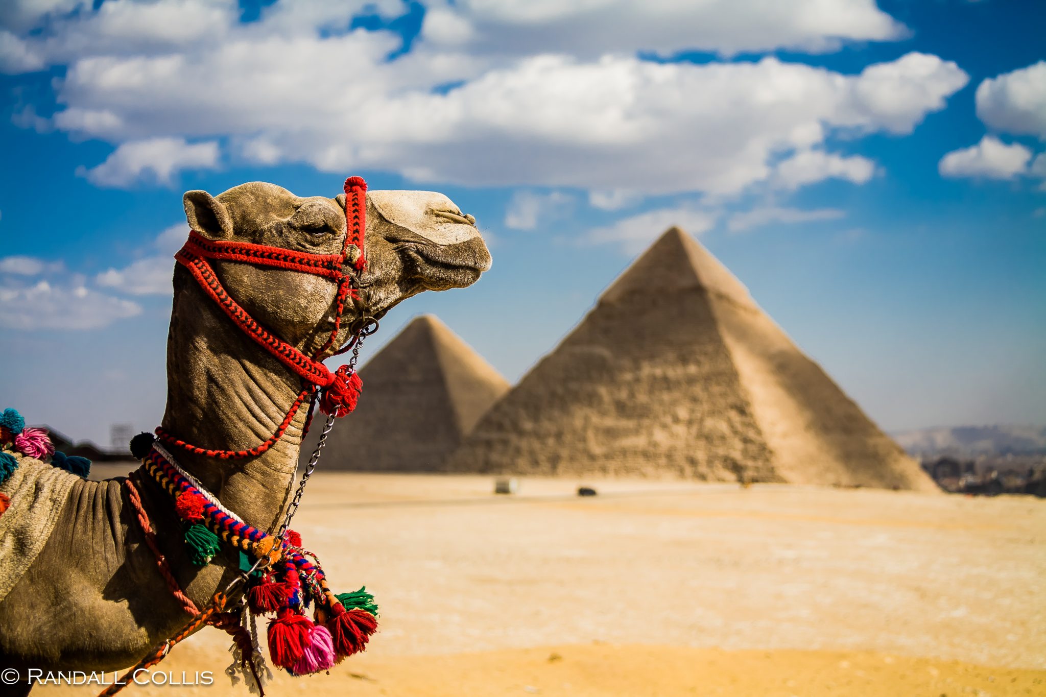 أفضل 10 أشياء يمكن أن تفعلها فى القاهرة