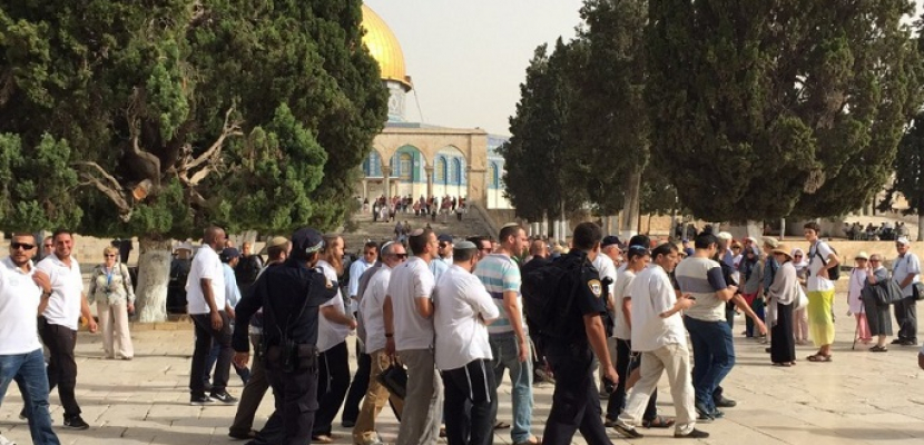  عشرات المستوطنين اليهود يقتحمون الأقصى وسط حراسة الشرطة الإسرائيلية