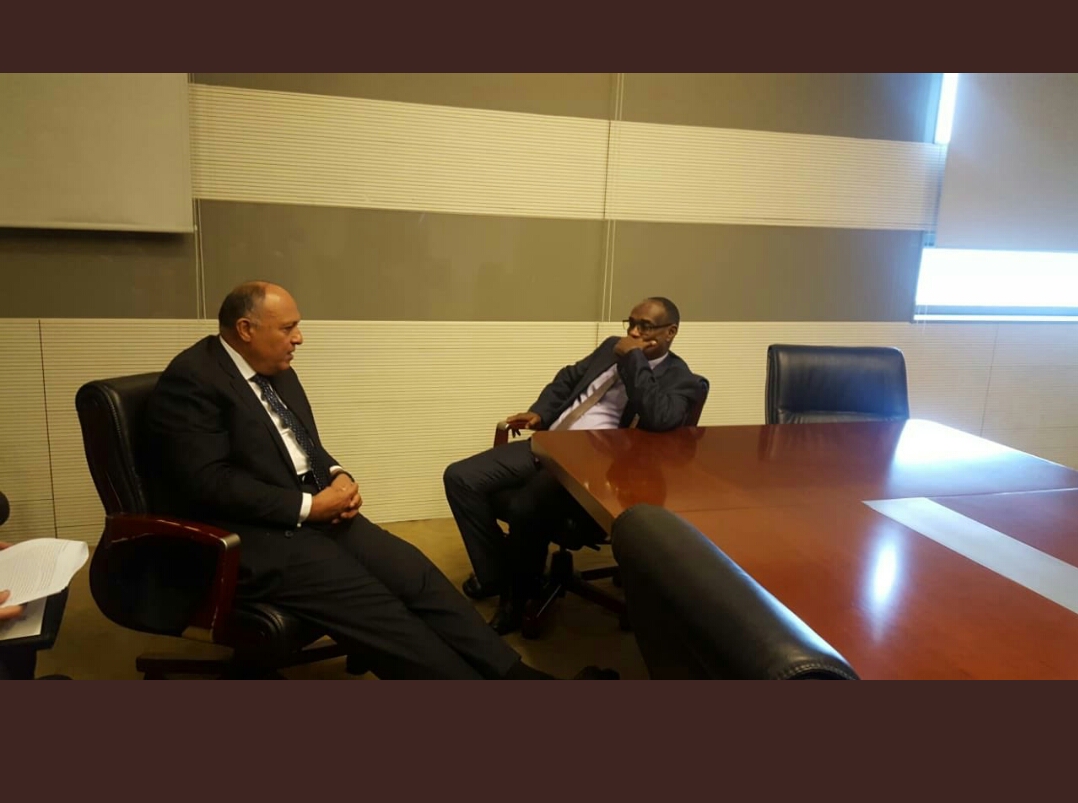    وزير الخارجية يستهل لقاءاته في أديس أبابا بلقاء نظيره السوداني
