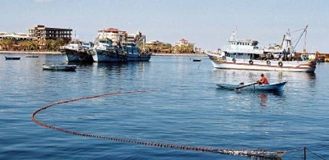   انتظام عمليات الصيد فى «البرلس» وخروج نحو 150مركباً  