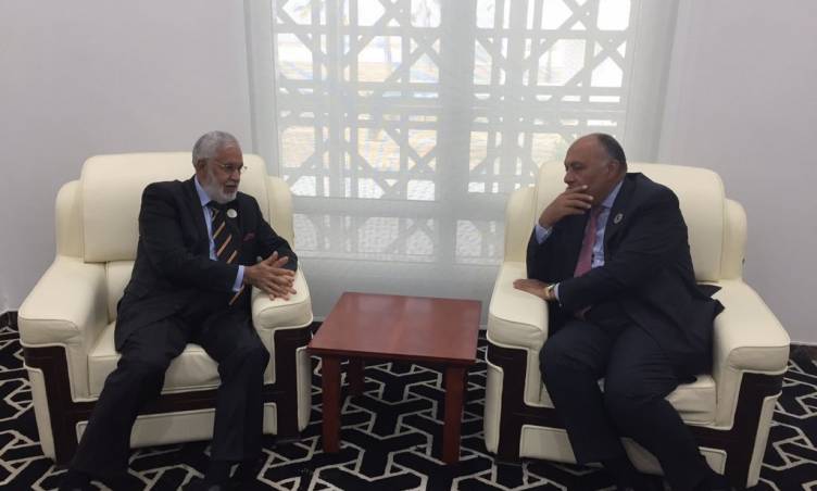   وزير الخارجية يلتقي نظيره الليبي على هامش اجتماعات المجلس التنفيذي للاتحاد الأفريقي