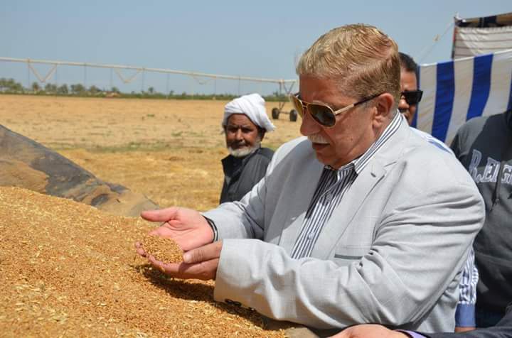   الإسماعيلية تورد ما يزيد عن 50 ألف طن من محصول القمح لموسم هذا العام 