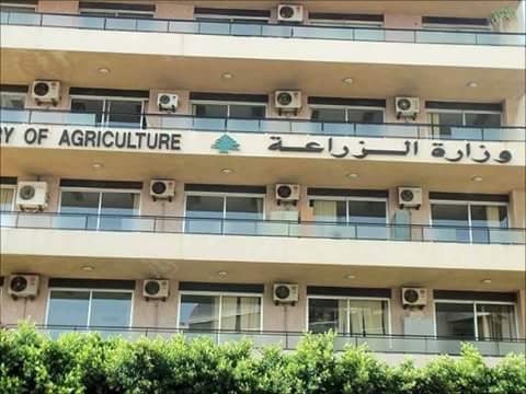    الزراعة: ارتفاع صادرات مصر الزراعية لـ أكثر من 4.2 مليون طن