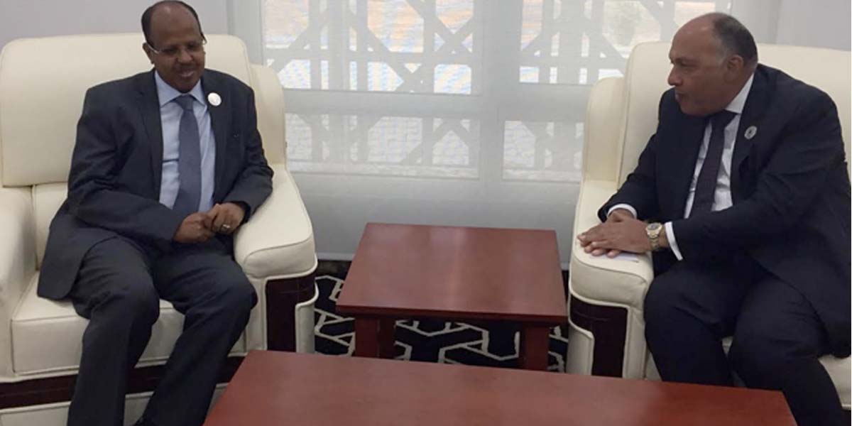   وزير الخارجية يلتقي وزير خارجية جيبوتي على هامش اجتماعات المجلس التنفيذي للاتحاد الأفريقي