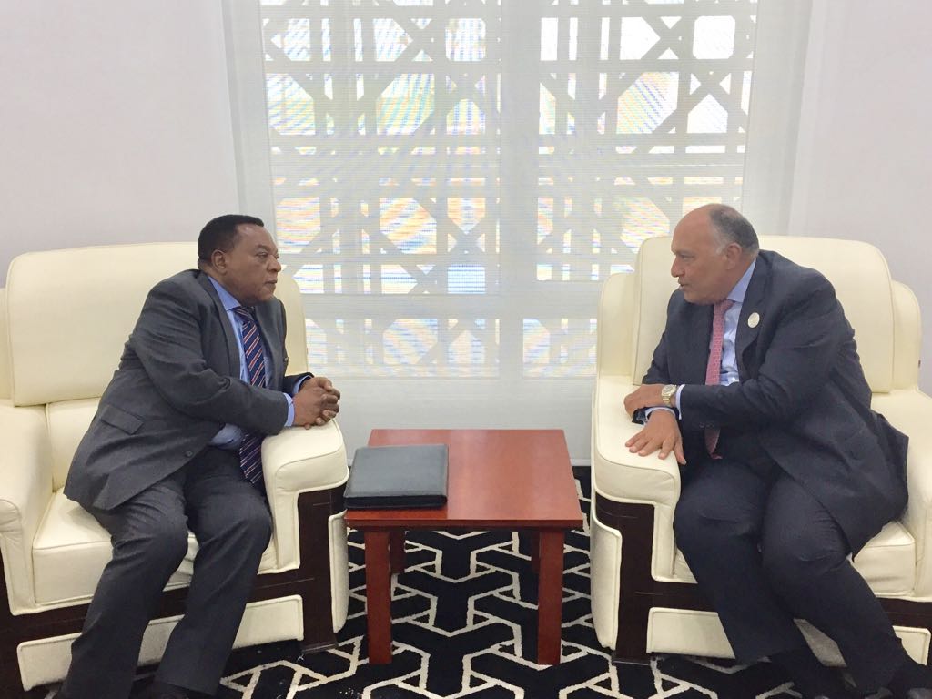   وزير الخارجية يبحث العلاقات الثنائية والقضايا الإقليمية مع نظيره التنزاني