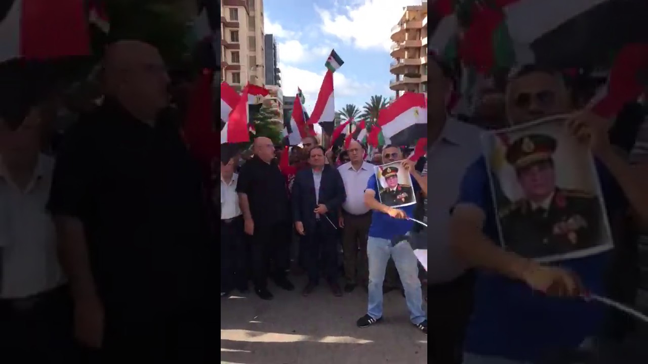   شاهد احتفالات المصريين فى لبنان بثورة ٣٠ يونيو