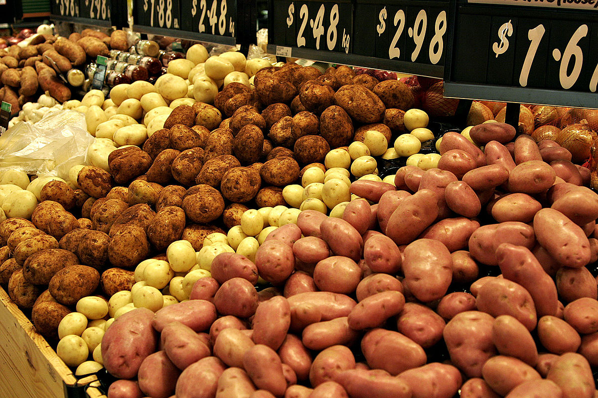   «قابيل» روسيا ترفع الحظر على تصدير البطاطس المصرية