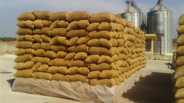   مصر تعيد فحص شحنة القمح الروسي المرفوضة