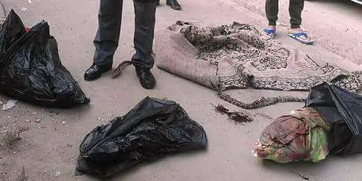   نبش الكلاب يكشف جثث 3 أطفال مذبوحين وممزقة أجسادهم بالمريوطية
