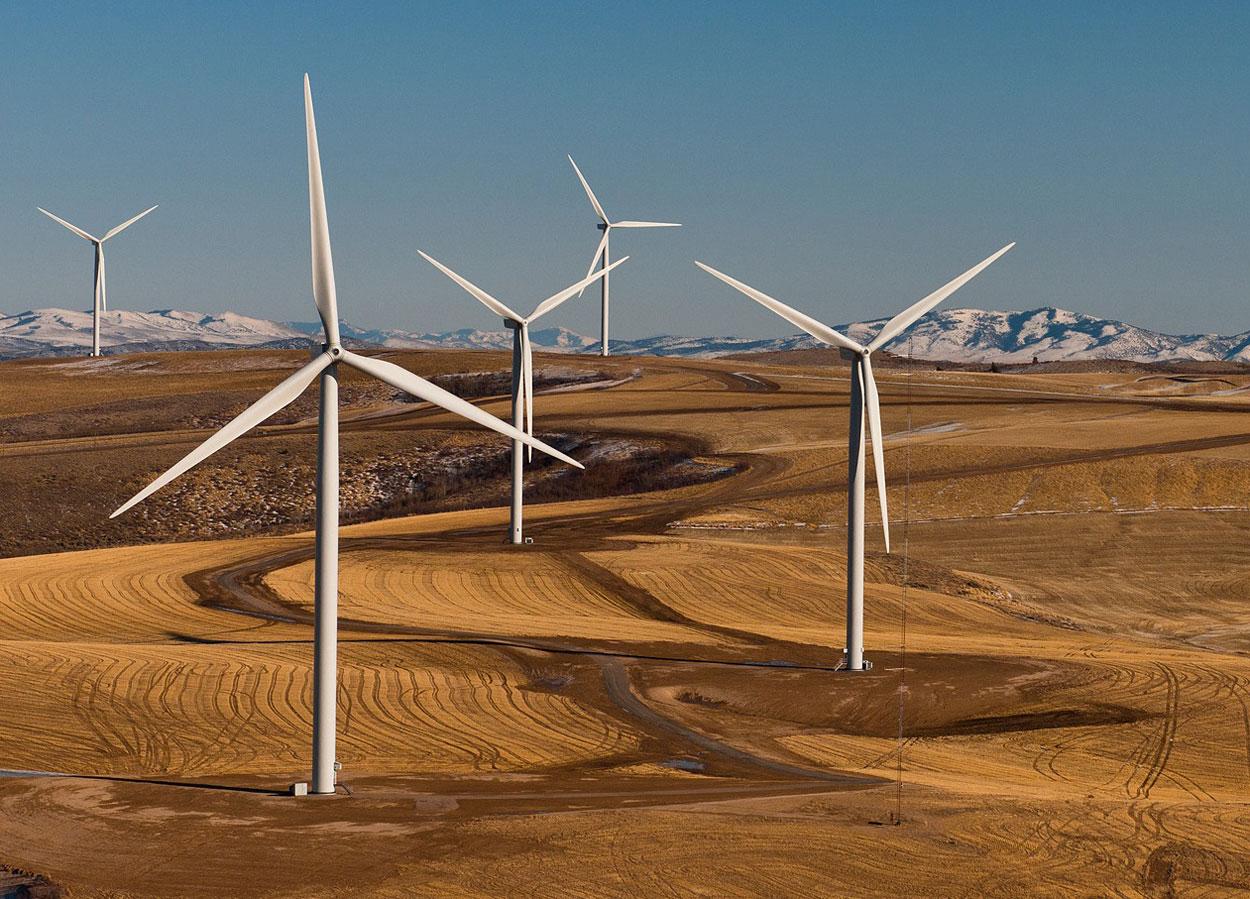   رئيس الوزراء يشهد عقد مشروع إنشاء محطة إنتاج الكهرباء من طاقة الرياح بخليج السويس