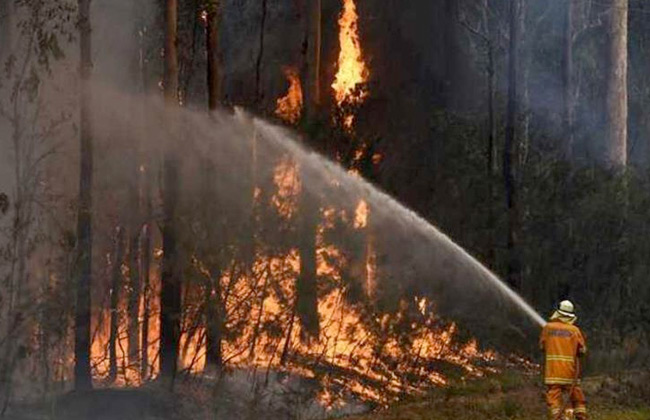   العثور على 20 جثة جديدة بسبب حرائق الغابات فى اليونان
