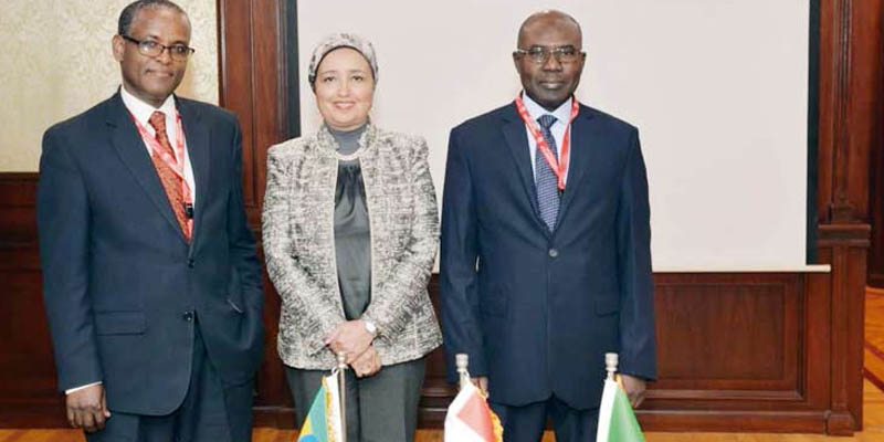   مسئولو مصر وإثيوبيا والسودان يبحثون فى «المركزى» إنشاء صندوق مشترك لتمويل المشروعات