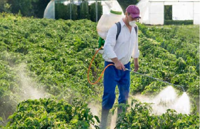  عقاب رادع على كل من يطرح منتجات زراعية ملوثة بالمبيدات