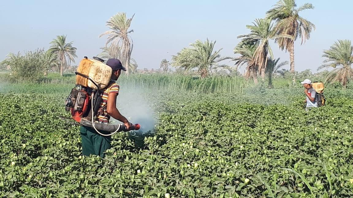   «الزراعة» ضبط 88 طنًا وتحرير 258 محضرًا من مبيدات غير صالحة للاستخدام على مستوى محافظات الجمهورية