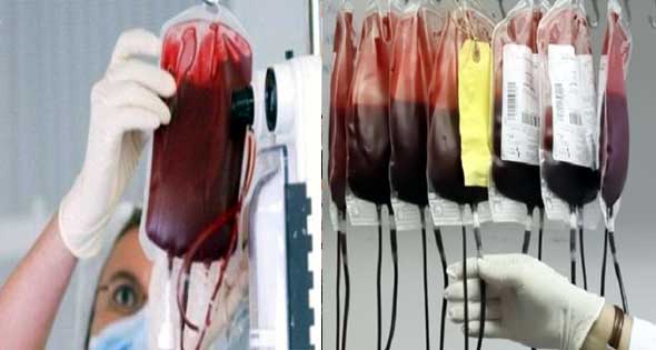   توفير 25 ألف كيس دم خلال عيد الأضحى المبارك