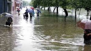   مصرع 22 شخصا بسبب الفيضانات فى النيجر