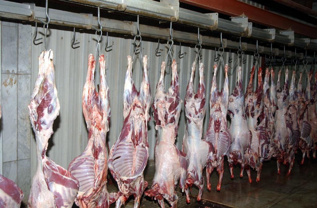   الزراعة تكثف حملات التفتيش على اللحوم خلال إجازة عيد الأضحى المبارك