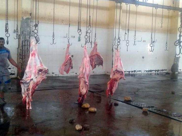   الزراعة: المجازر استقبلت 206 ألف رأس ماشية و 5.5 مليون طائر تم ذبحها تحت الاشراف البيطري الشهر الماضي