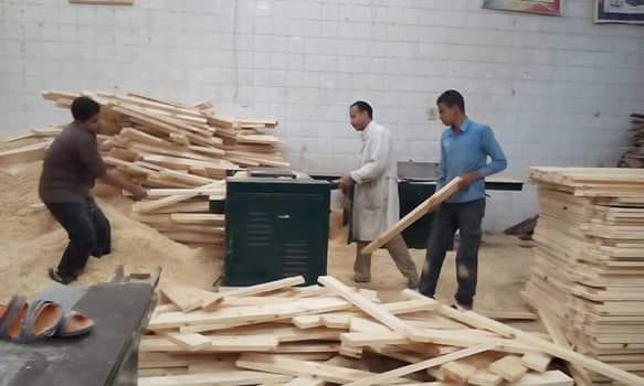 تعليم القليوبية تطلق أكبر مشروع للتخلص والإستفادة من الرواكد الخشبية بالمدارس