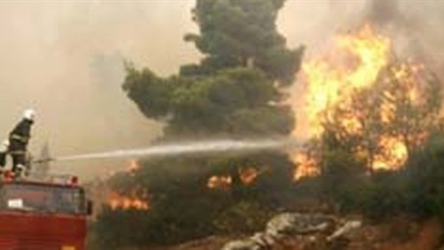   السيطرة على حريق فى مزرعة البحوث الزراعية بسوهاج