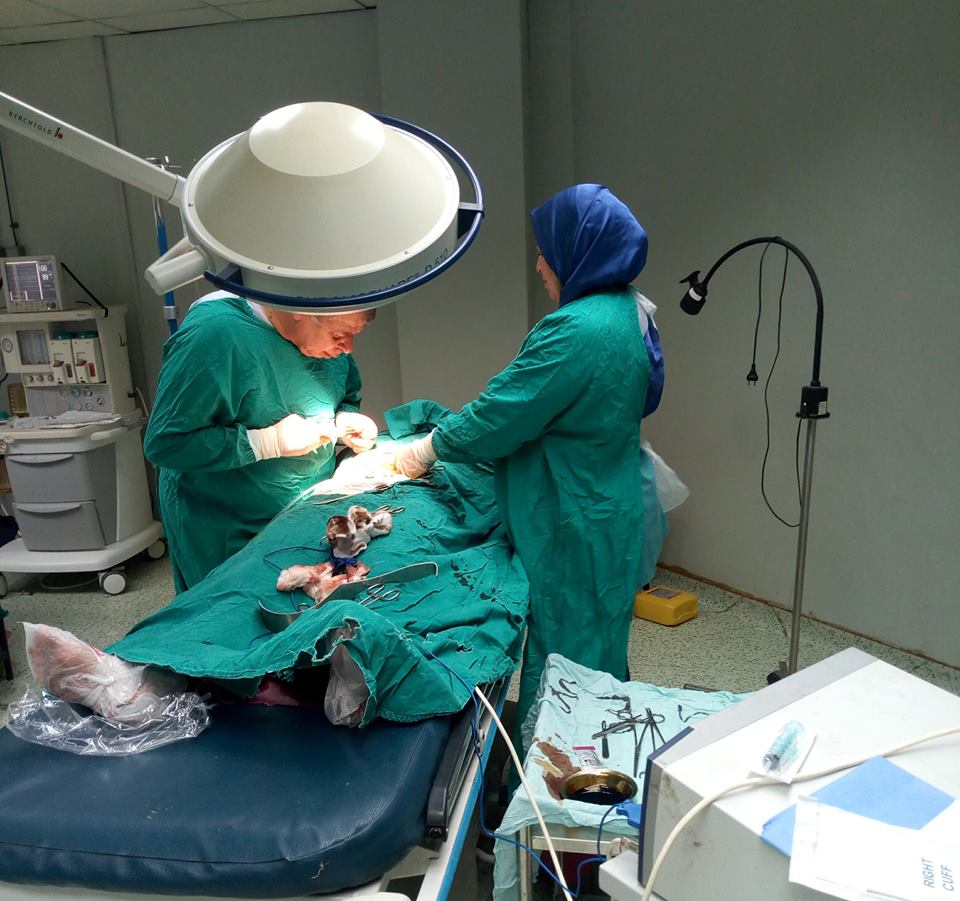   إجراء 99 عمليات جراحية مجانية بمستشفي الفشن جنوب بني سويف