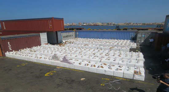   الداخلية تحبط تهريب أكثر من 21 مليون قرص مخدر عبر ميناء غرب بورسعيد