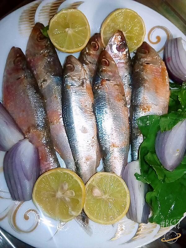   أسماك البربوني بسعر السردين في أسواق دمياط الكيلو ب50 والمملح ب60 جنيه