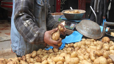   أسعار البطاطس تعود لرشدها بـ 5 جنيهات في سوق العبور